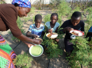 children eating in field
